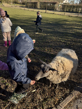 Boerderijklassen deel 3_195