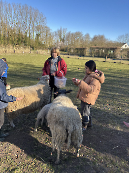 Boerderijklassen deel 3_197
