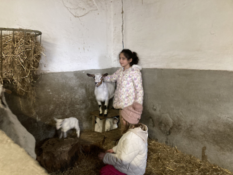 Boerderijklassen deel 3_1