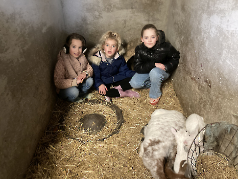 Boerderijklassen deel 3_2
