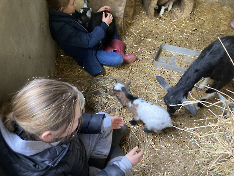 Boerderijklassen deel 3_5