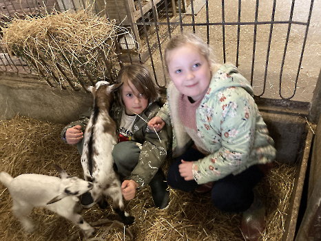 Boerderijklassen deel 3_6