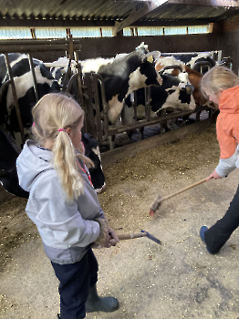Boerderijklassen deel 4_100