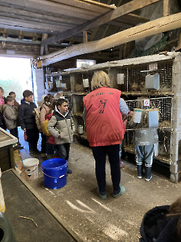 Boerderijklassen deel 4_167