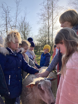 Boerderijklassen deel 4_181