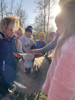 Boerderijklassen deel 4_182