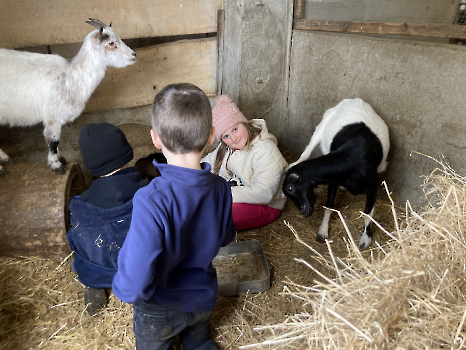 Boerderijklassen deel 4_205