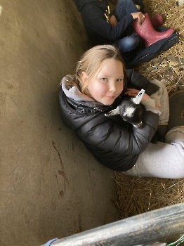 Boerderijklassen deel 4_207