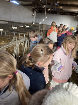 Boerderijklassen deel 4_56