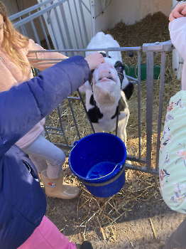 Boerderijklassen deel 4_63