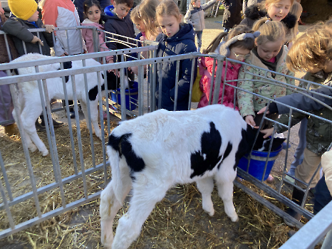 Boerderijklassen deel 4_69