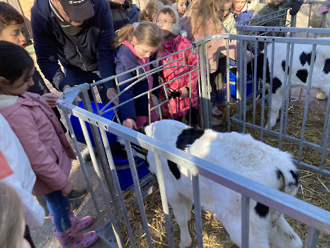 Boerderijklassen deel 4_73