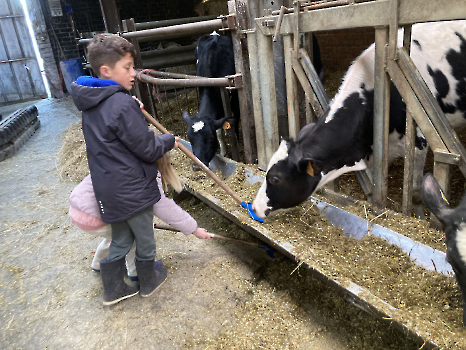 Boerderijklassen deel 4_79