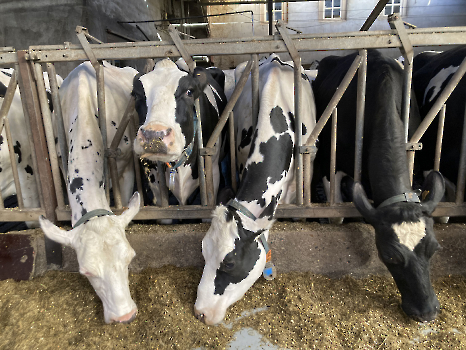 Boerderijklassen deel 4_82