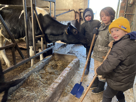 Boerderijklassen deel 4_83
