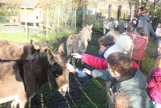 Boerderij deel2_10