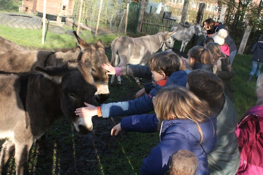 Boerderij deel2_11