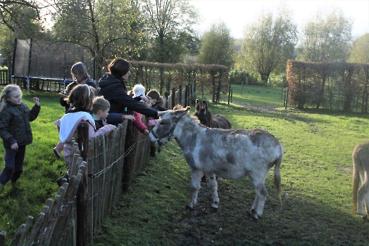 Boerderij deel2_12