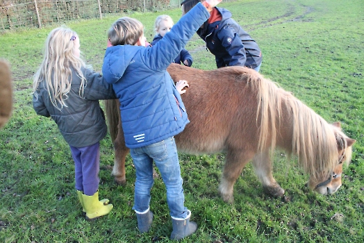 Boerderij deel2_13