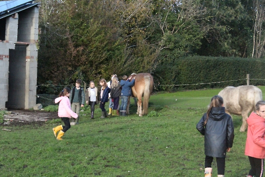 Boerderij deel2_14