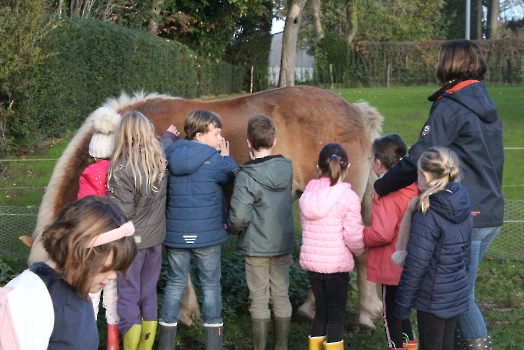 Boerderij deel2_15