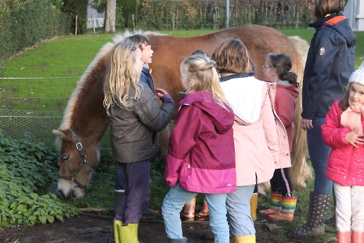 Boerderij deel2_16