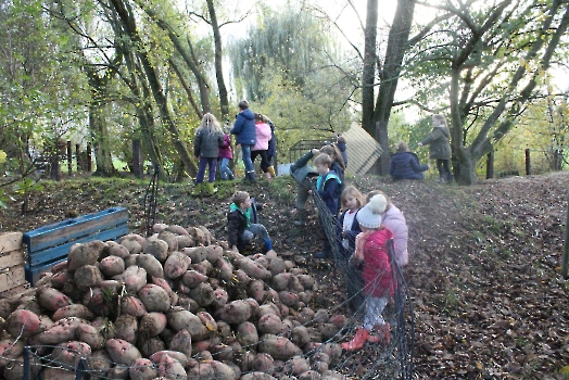 Boerderij deel2_18