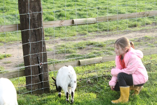 Boerderij deel2_25