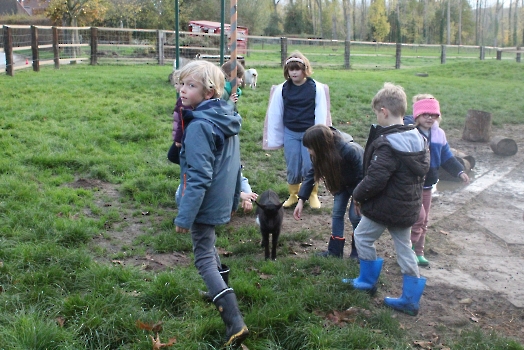 Boerderij deel2_30