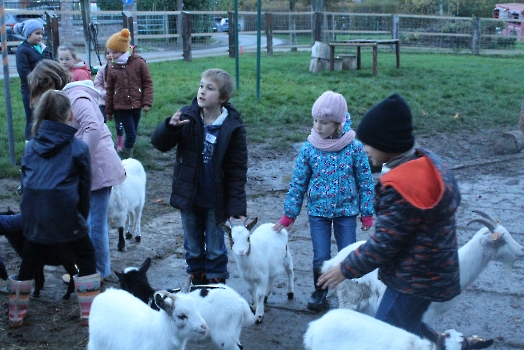 Boerderij deel2_38