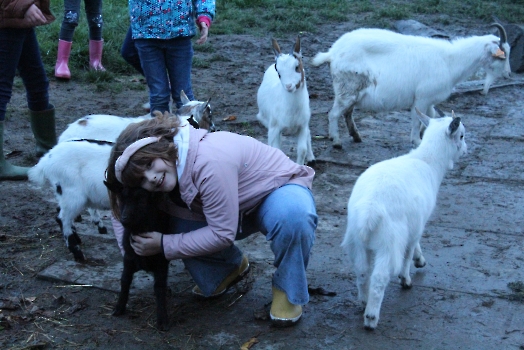 Boerderij deel2_39