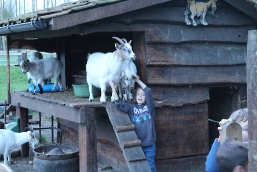 Boerderij deel2_40