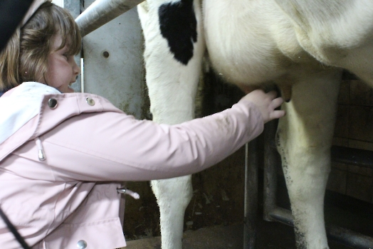 Boerderij deel2_56