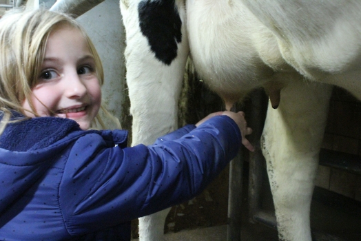 Boerderij deel2_57