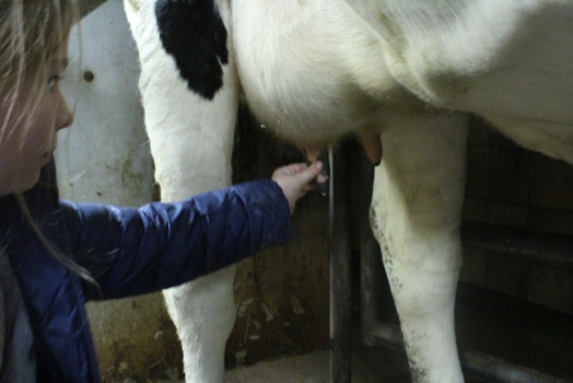 Boerderij deel2_60