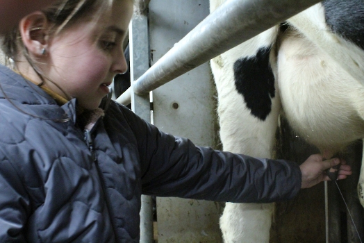 Boerderij deel2_65