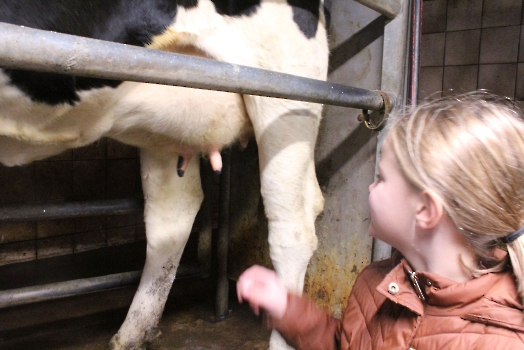 Boerderij deel2_89