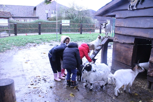 Boerderij deel2_96