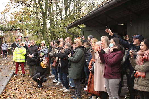 Boerderij deel3_113