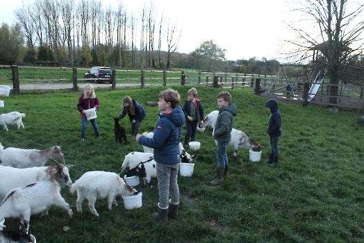 Boerderij deel3_17