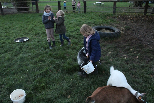 Boerderij deel3_18