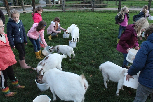 Boerderij deel3_19