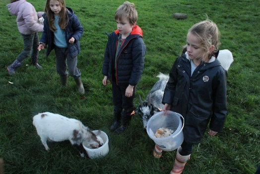 Boerderij deel3_20