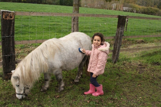 Boerderij deel3_77