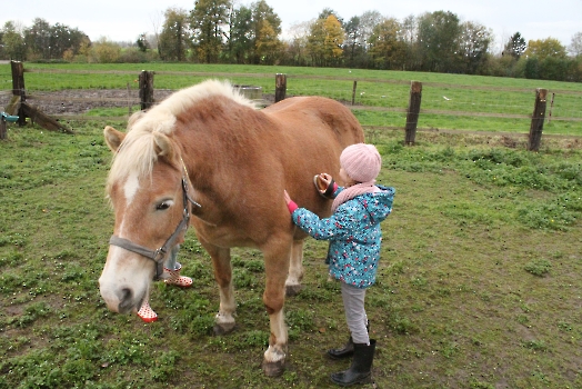 Boerderij deel3_78