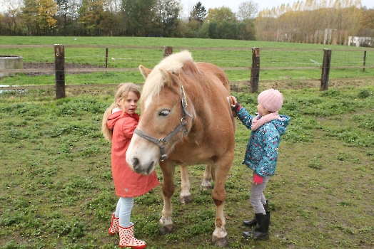 Boerderij deel3_79