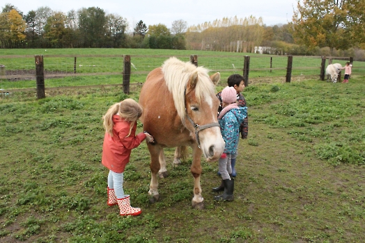 Boerderij deel3_80