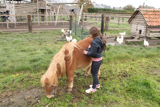 Boerderij deel3_81