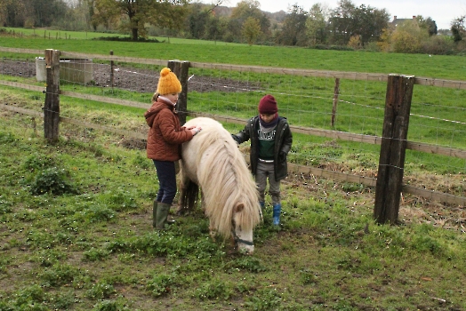 Boerderij deel3_83