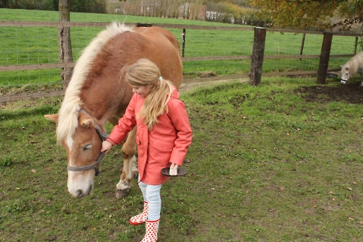 Boerderij deel3_84